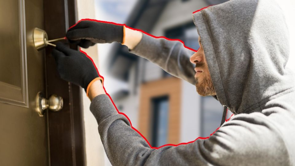 Si en algún momento encuentras una de estas marcas en tu hogar, es importante actuar rápidamente.