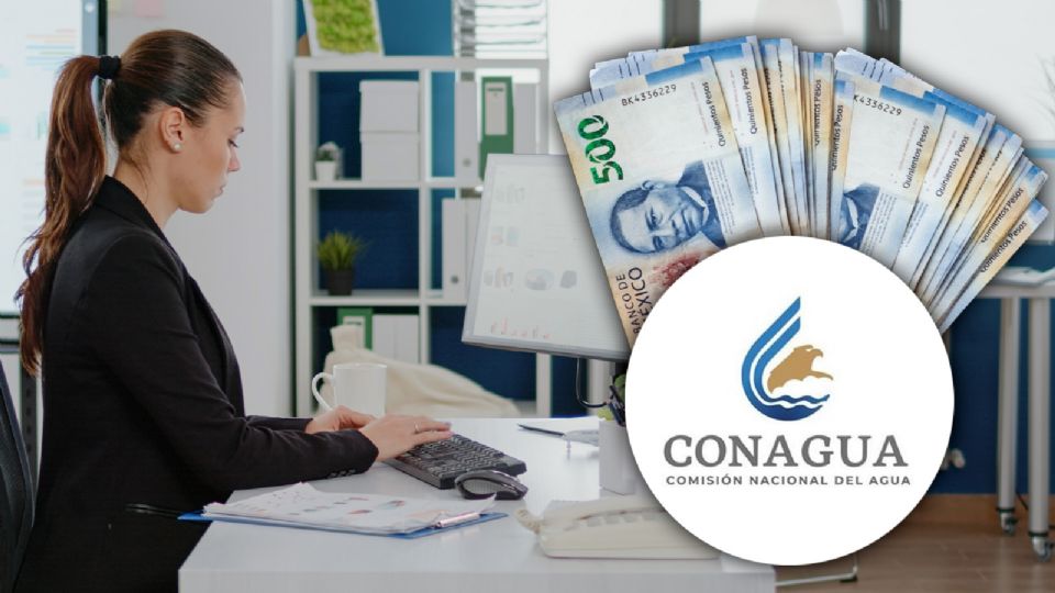 Si quieres desarrollarte profesionalmente en el ámbito público, esta podría ser tu puerta de entrada.