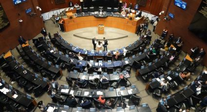 Comisión de Seguridad Pública del Senado avaló la Estrategia Nacional de Seguridad 2024 - 2030