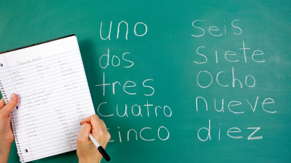 Este 23 de abril se celebra el Día del Idioma Español.