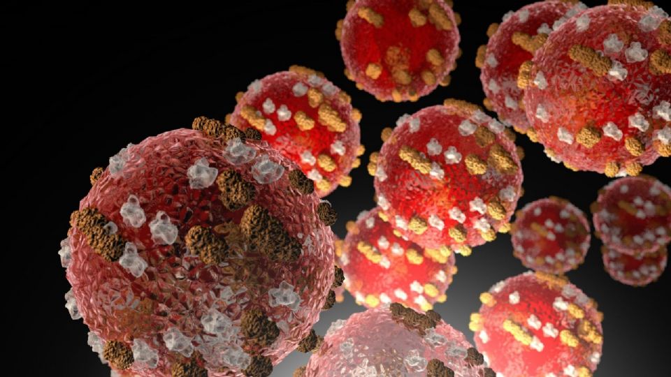 En torno a los casos de tosferina, explicó que también ha habido un incremento en la cifra.