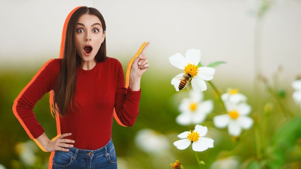 El significado espiritual de las abejas en tu casa: Este es el mensaje que te traen