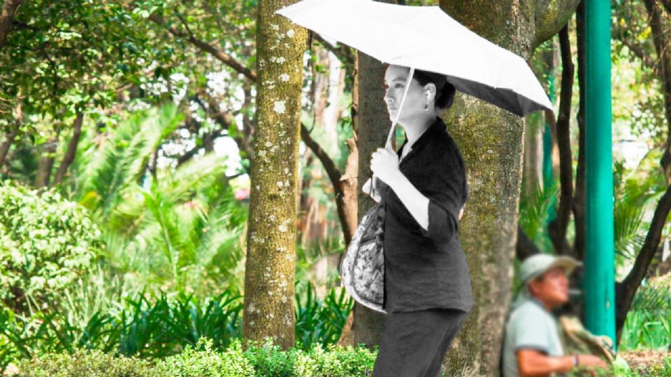 Durante las primeras horas del día, se espera un ambiente fresco a templado.