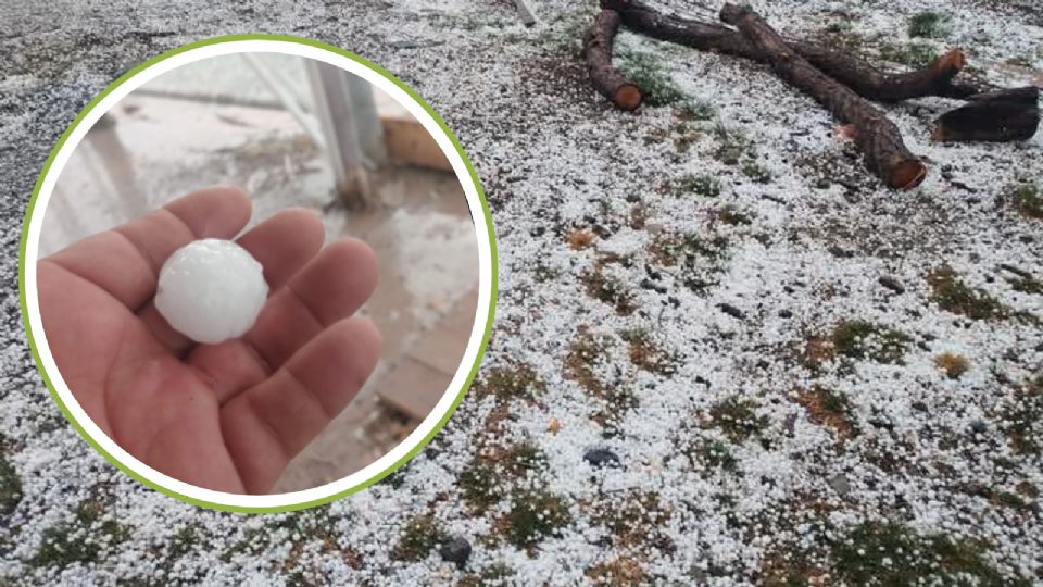 Los habitantes del sur del estado compartieron sus fotos a través de redes sociales.