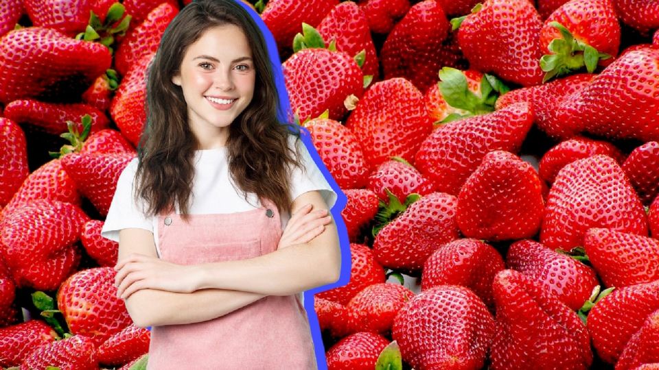 ¿Cómo conservar frescas las fresas?