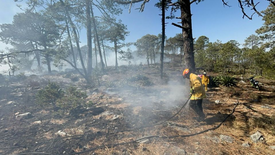 Brigadistas de Protección Civil de Nuevo León realizan tareas de control y liquidación de incendios forestales en Galeana, apoyados por unidades aéreas y terrestres.