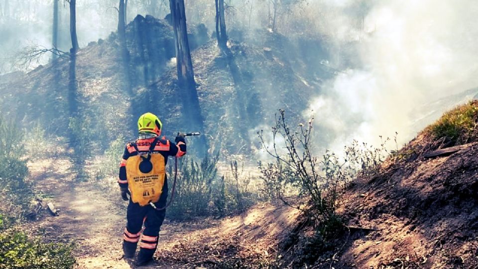 Incendio en el Bosque de Chapultepec.