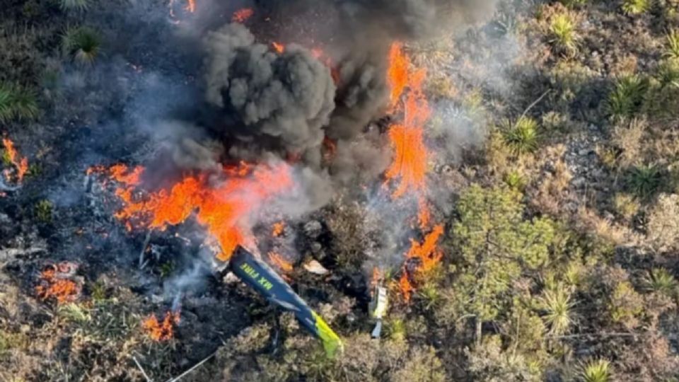 La aeronave se desplomó cerca de la zona del incendio forestal registrado en Arteaga, Coahuila.