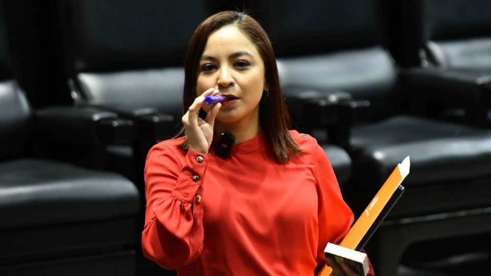 Diputada Irais Reyes.