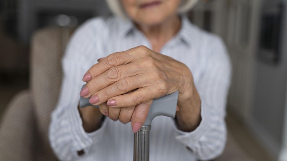 Dorian S.G. fue detenidos tras ser videograbado al momento en que robó, golpeó y aventó a una mujer de la tercera edad.