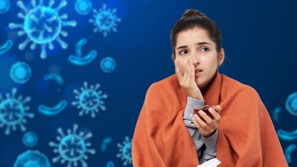 La OMS considera que al momento el riesgo de salud pública por la Influenza Aviar A (H5N1) en humanos es bajo.