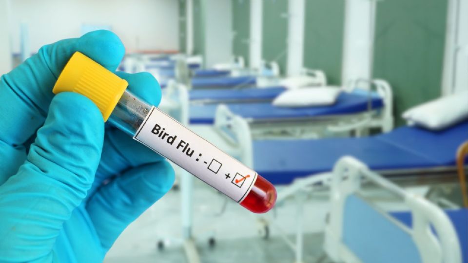 La niña contagiada de influenza aviar A (H5N1) estaba hospitalizada en Coahuila.