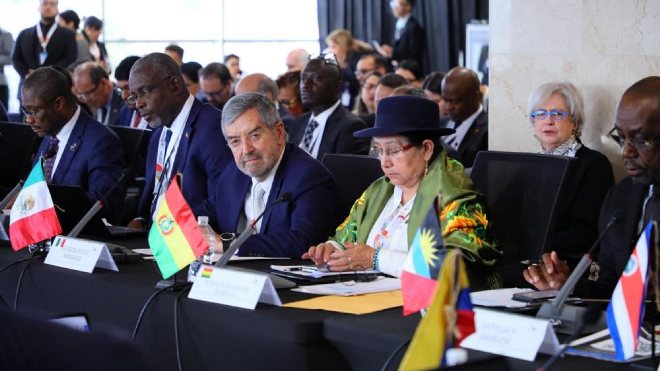 Juan Ramón de la Fuente asiste a la CELAC.