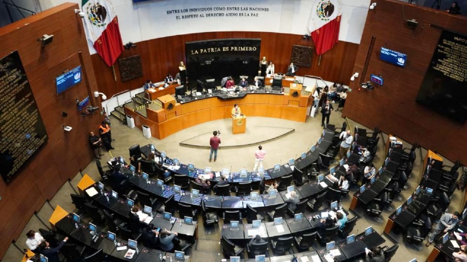 El Senado de la República rindió homenaje al papa Francisco.