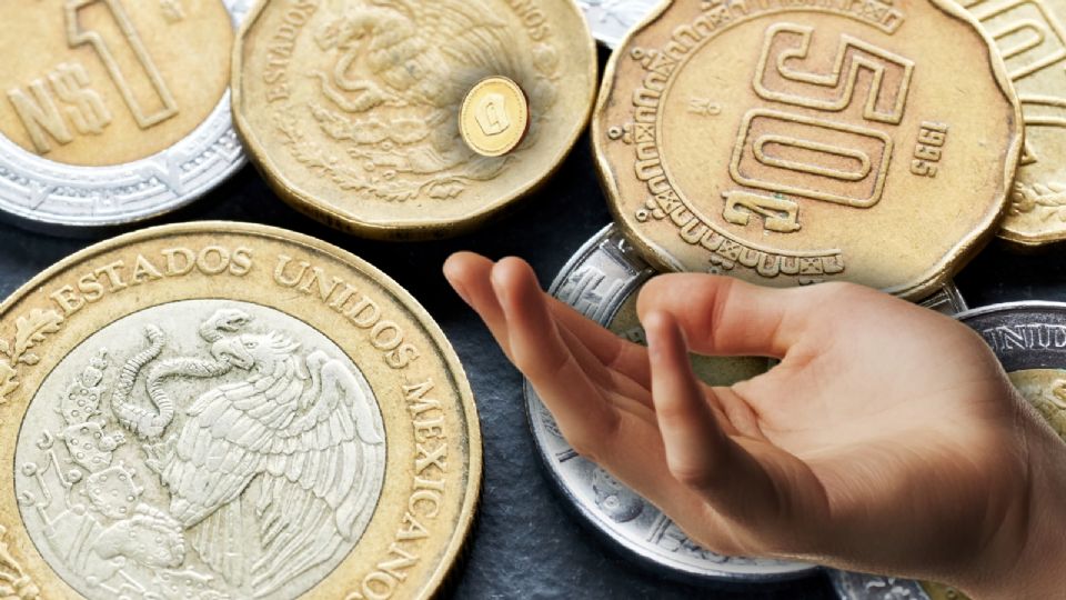 ¿Quiénes son los propineros?