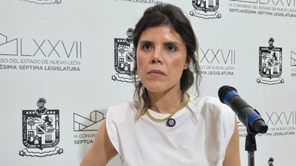 Claudia Caballero Chávez, diputada del PAN en el Congreso Local.