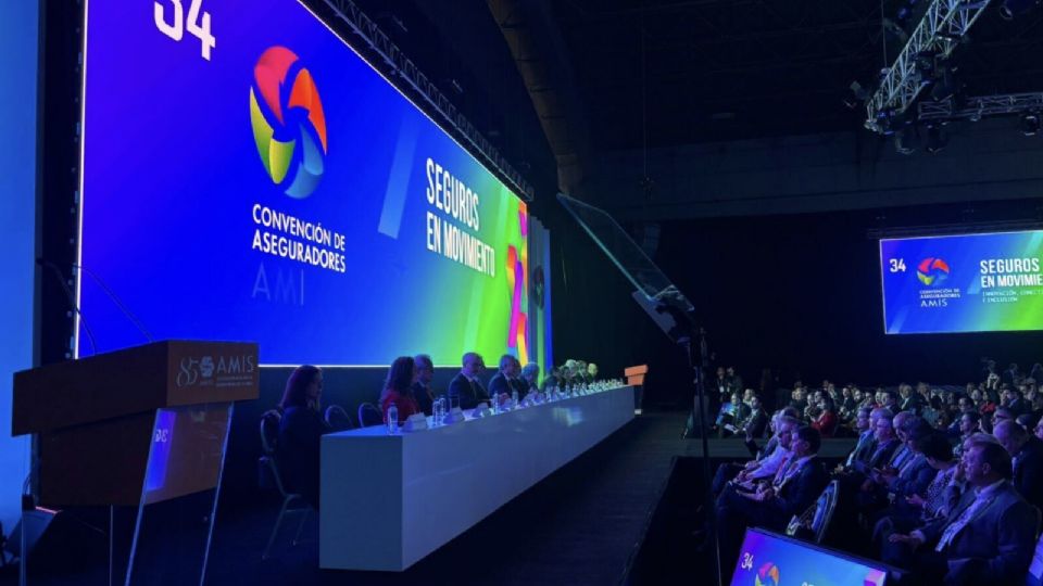 El objetivo es enfocarse en las necesidades de este grupo, explicó la AMIS.