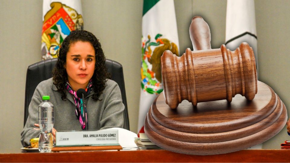 Presidenta del IEEM, Amalia Pulido.