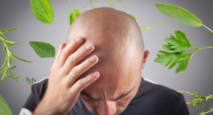 Los 3 mejores remedios con plantas medicinales para combatir la calvicie