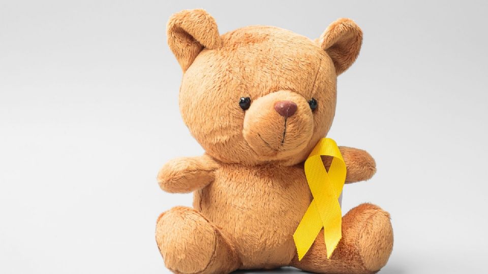 El Laboratorio de Citómica del Cáncer Infantil en el CIBIOR cuenta con los equipos de mayor vanguardia tecnológica.