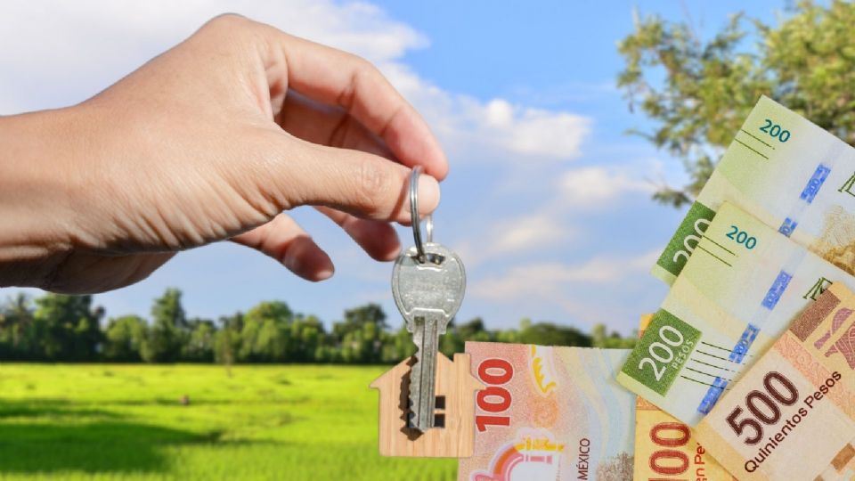 Para iniciar el trámite, deberás reunir ciertos documentos personales y del terreno.