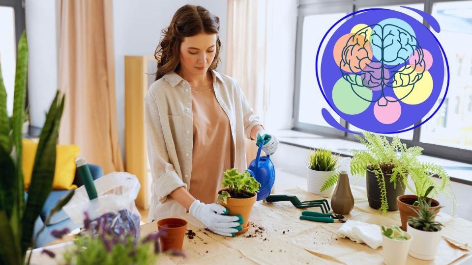 ¿Tienes muchas plantas en casa? Esto es lo que revela la psicología sobre ti