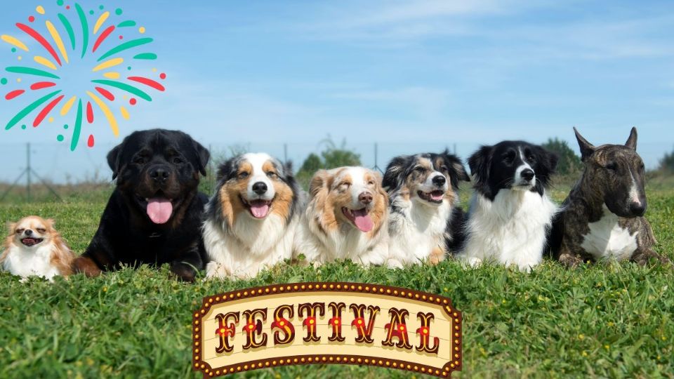 Festival Canino en Monterrey