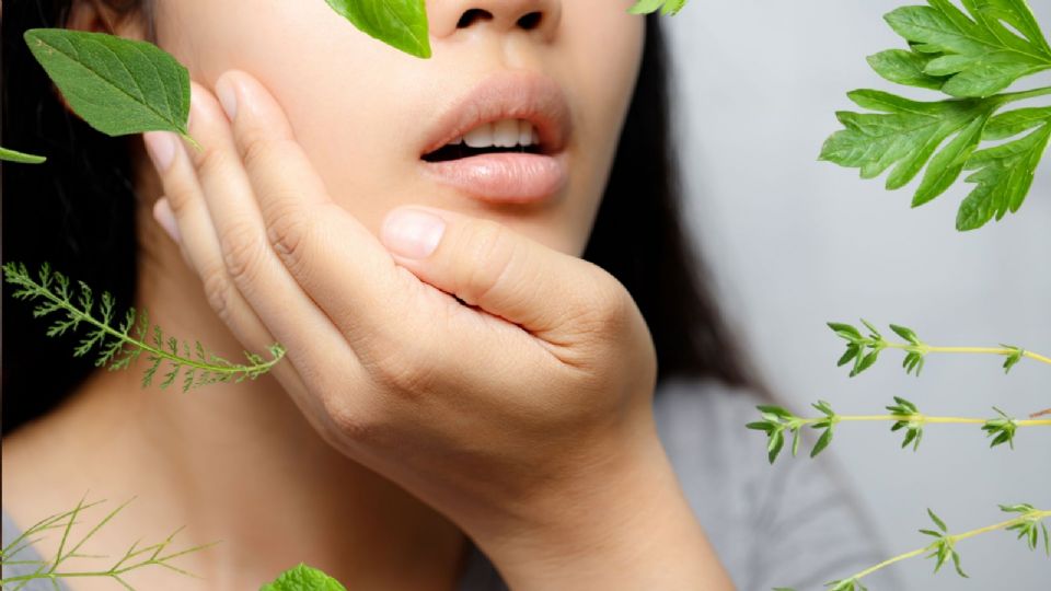 Para aliviar los fuegos bucales, se recomienda el uso de plantas con propiedades antiinflamatorias.