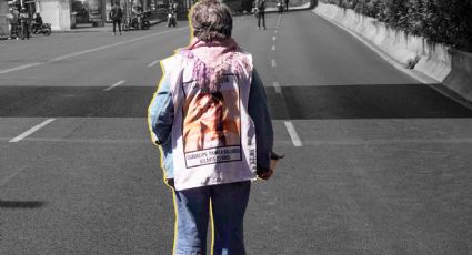 'Nos habían prometido cinco días de búsqueda y sólo nos dieron dos': María del Carmen Volante