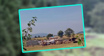 ¿Qué pasó en Ocuilan, Edomex? Así fue el enfrentamiento de talamontes y autoridades | VIDEO