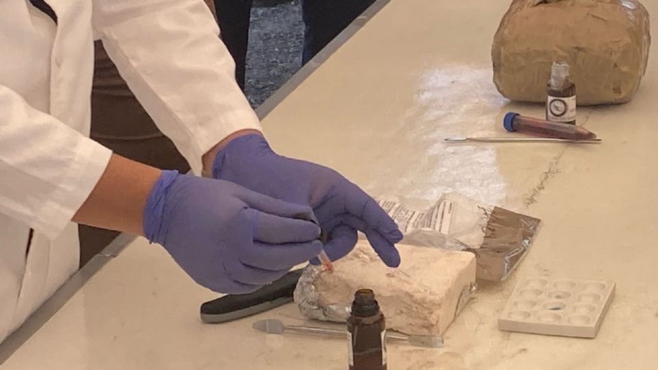 El personal de la FGR realizó el trabajo pertinente en lo decomisado durante el cateo.