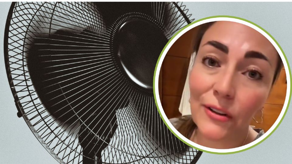 La tiktoker mostró a sus mascotas tranquilas en su hogar fresco.