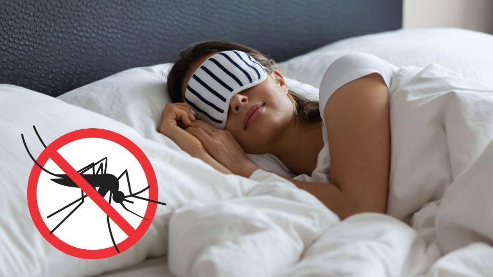 Despídete de los zancudos: estos son los 3 remedios caseros que sí funcionan