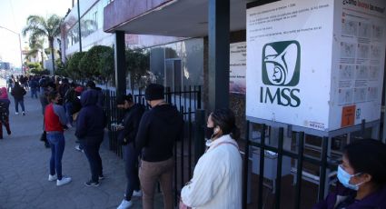 Crea el IMSS área de investigación y publicaciones científicas