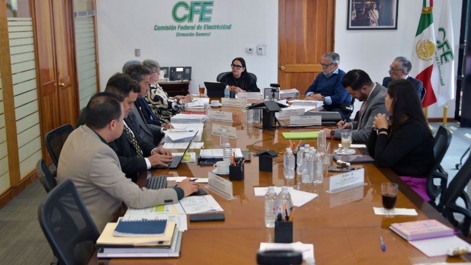 A través del Plan de Expansión de Transmisión 2025-2030, aumentará la capacidad y la extensión de los kilómetros de las líneas de transmisión.