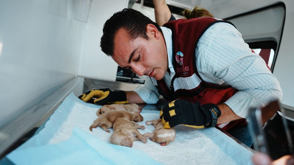 El operativo fue encabezado por el alcalde, Manuel Guerra.