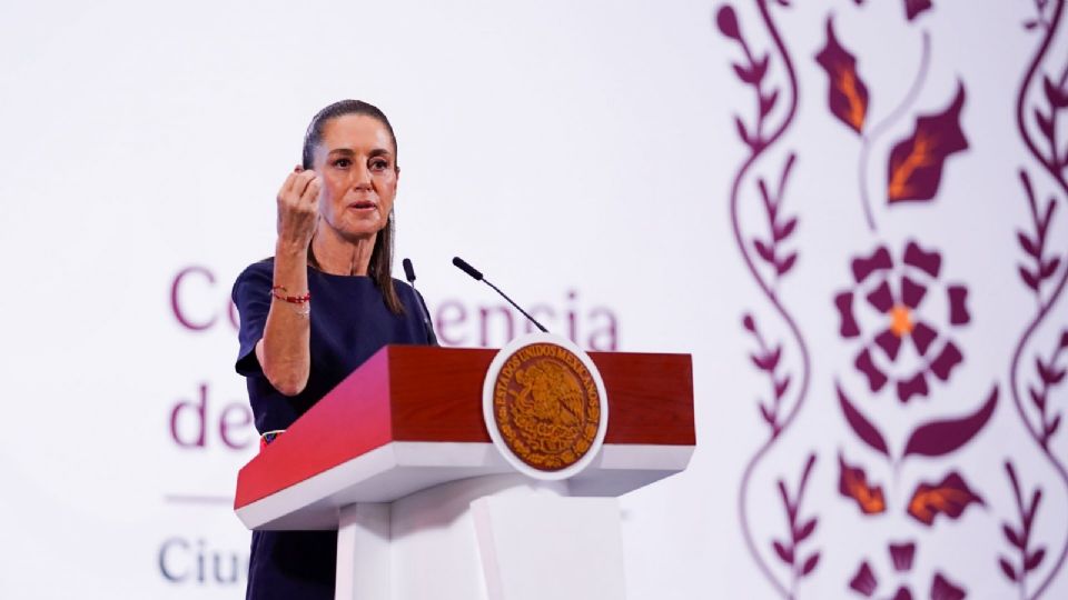 Sheinbaum Pardo anunció que una representación del gobierno viajará al vecino país del norte.