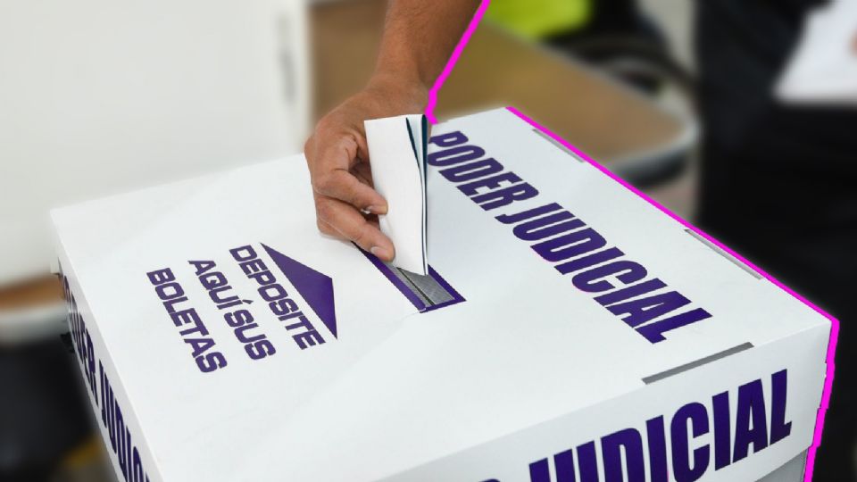 El problema, explica Burgoa, radica en que las boletas judiciales son extremadamente complejas.