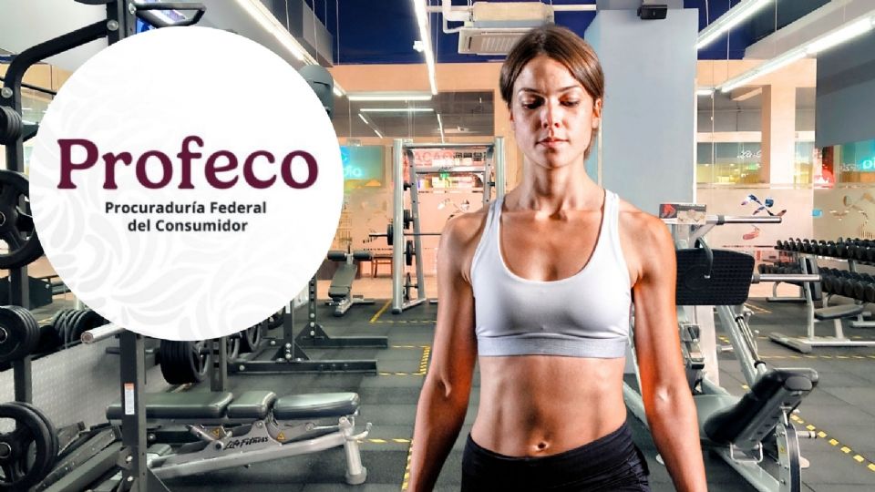 Mientras Profeco investiga la estafa, lo más importante es que los afectados busquen apoyo cuanto antes.