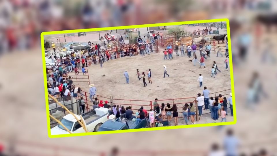 Gatos son perseguidos tras ser atados con pirotecnia en Xichú.