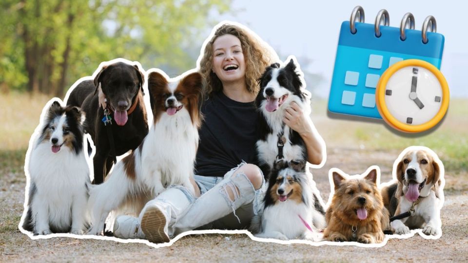 Monterrey tendrá nueva fecha del Festival Canino; horario y actividades