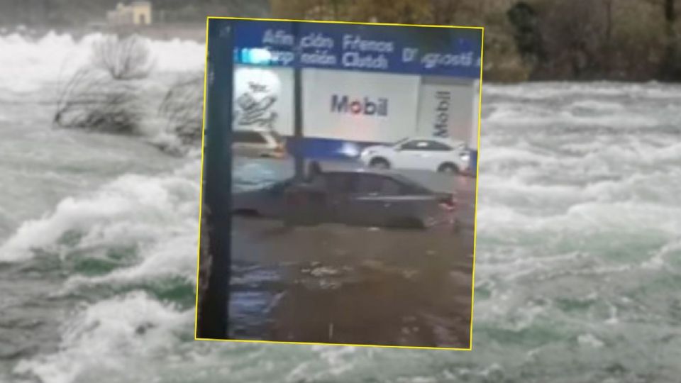 El video del momento se viralizó en redes sociales.