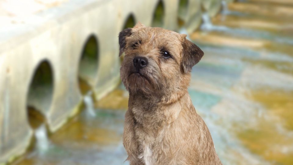 Este hecho ha generado una ola de reacciones en redes sociales, donde usuarios han mostrado su enojo.