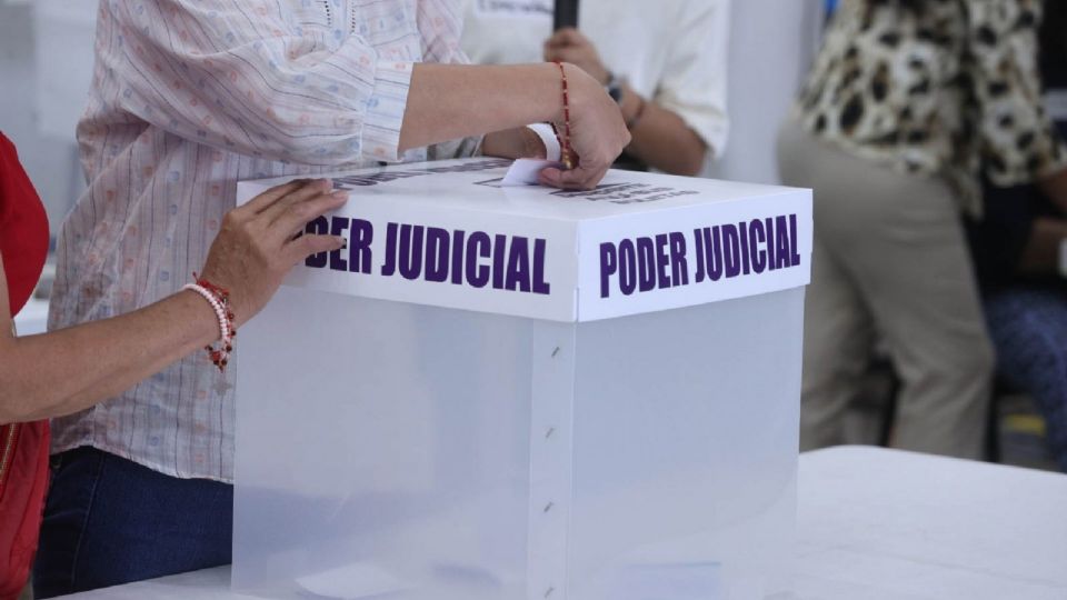 La consejera Norma Irene de la Cruz Magaña comentó que el INE se compromete a revisar los 26 perfiles que cuestionan.