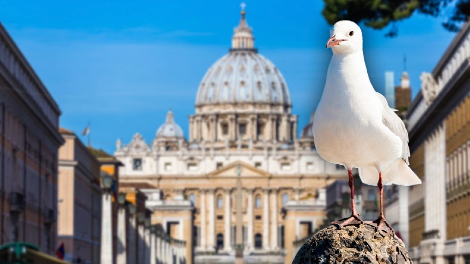 La memoria de aquella gaviota blanca permanece como un recordatorio de la conexión entre lo cotidiano y lo sagrado.
