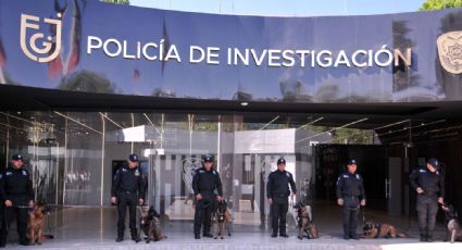 Incorpora FGJ a dos nuevos caninos para tareas de investigación