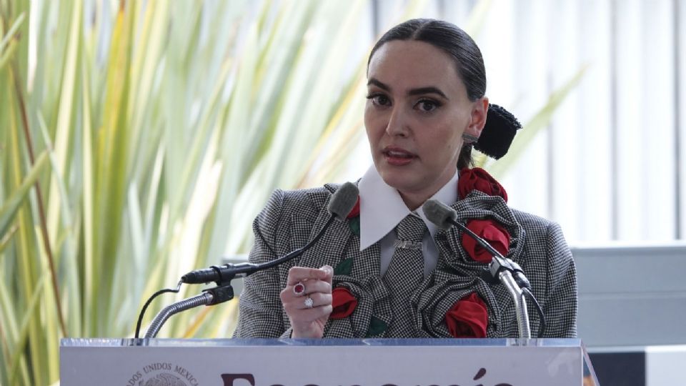 Altagracia Gómez,  Coordinadora del Consejo Asesor  de Desarrollo Económico, Regional y Relocalización del Gobierno Federal.