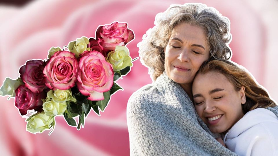 Las flores son comunes en el Día de las Madres y te dejamos una lista con las que son 'garantía' de buen obsequio