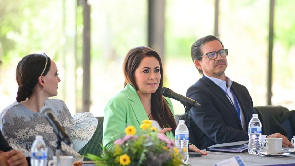 Se busca promover un mejor entorno de negocios.