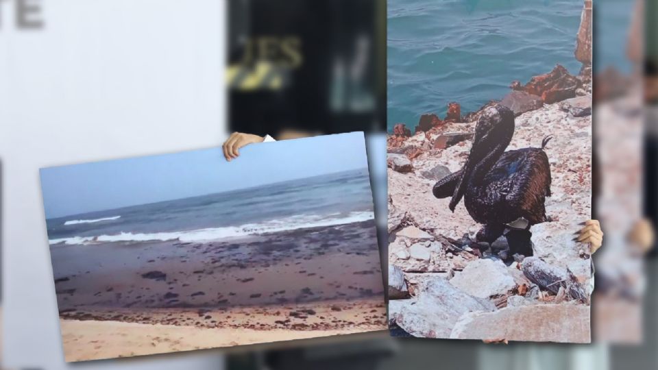 Carlos Álvarez Flores destacó que la falta de cumplimiento de normas ambientales en México provoca severos daños a la salud y el medio ambiente.